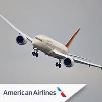 American Airlines image 2